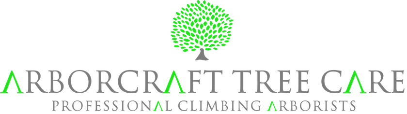 Arborcraft Tree Care - Tree Surgeon and climbing arborist logo